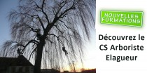 CS_Arboriste_Elagueur CS_Arboriste_Elagueur